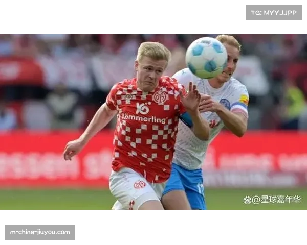 霍芬海姆客场战平美因茨 延续本赛季客场不败纪录